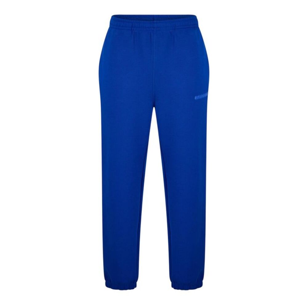 Lacoste Unisex Adult Regular Tracksuit Bottoms / Blue